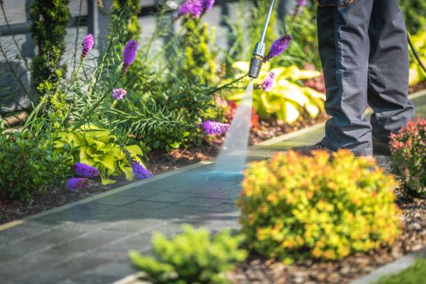 Best Spring Cleaning  in Oradell, NJ