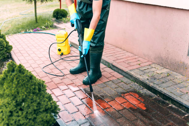 Best Solar Panel Cleaning  in Oradell, NJ